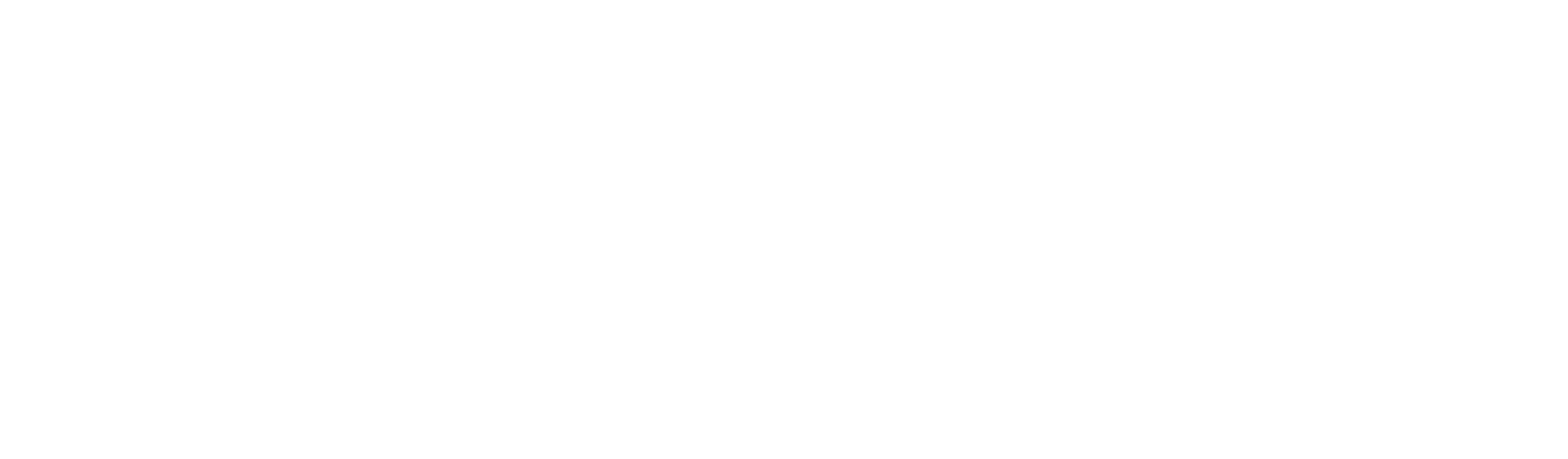 SkillMantra Logo Footer